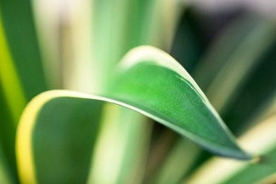 CDPR澄清：《巫师4》新技术演示并非实机内容